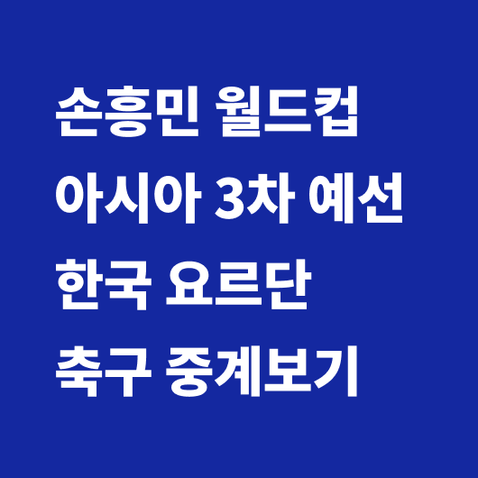 월드컵 중계