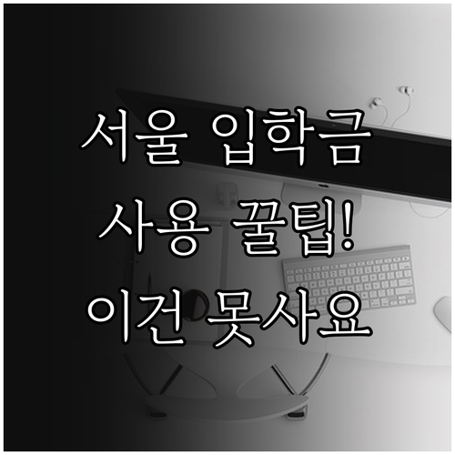 서울시 입학준비금 서점 문구점 사용 ..