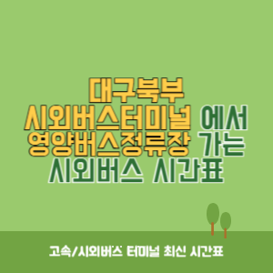 대구북부시외버스터미널에서 영양버스정류장 가는 시외버스 시간표 최신정보