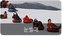 평창 송어축제