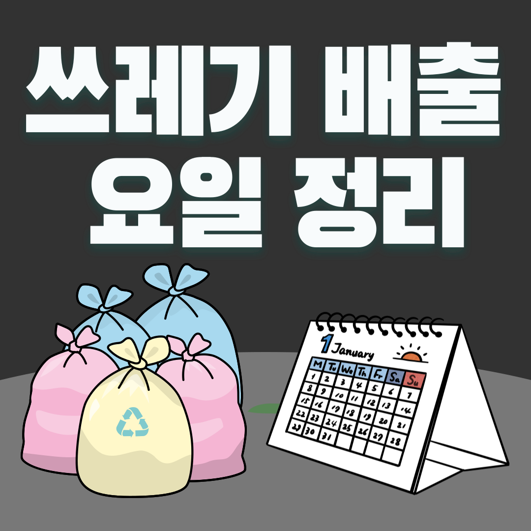 쓰레기 배출 요일 정리