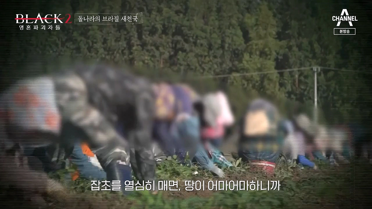박명호 교주 돌나라 교단 근황