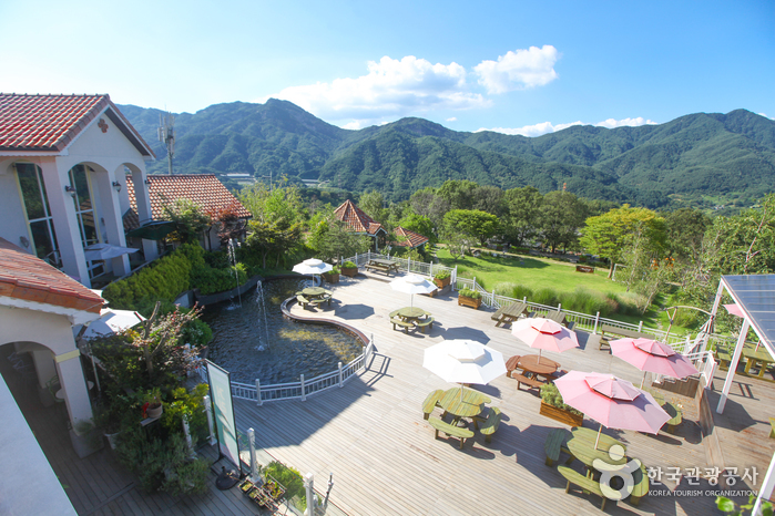 함양 가볼만한곳 베스트10