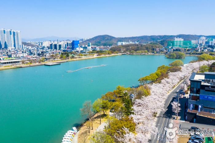 대구 여행