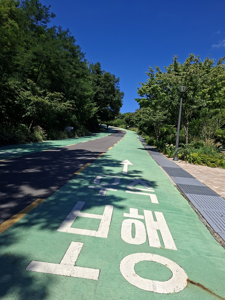 하늘공원길