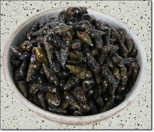 올갱이