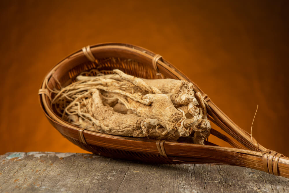 기력회복에 좋은 음식 효능