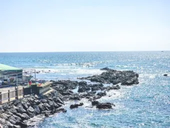 4월 제주도 가볼만한곳 2025년 10선_19