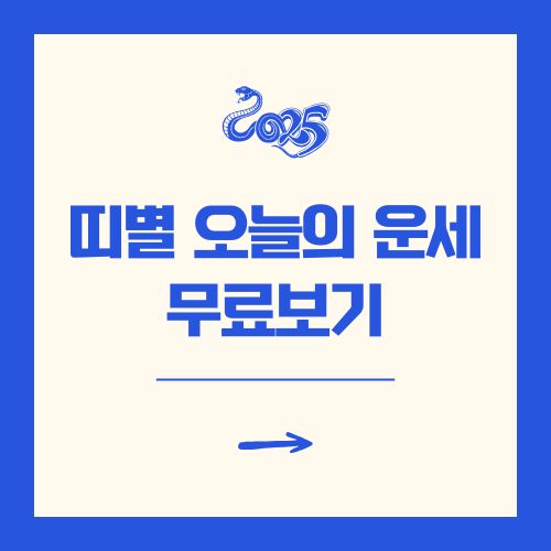 띠별 오늘의 운세 무료보기