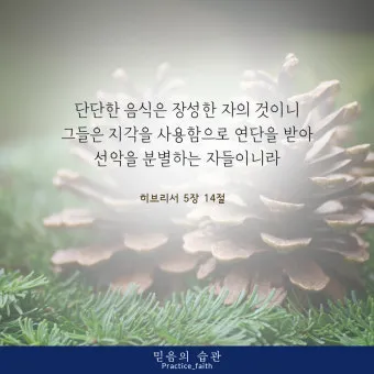 히브리서 5장 하느님의 성경말씀 묵상 해석_19