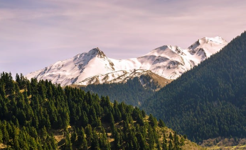 포항 불꽃축제 일정 2025년 11