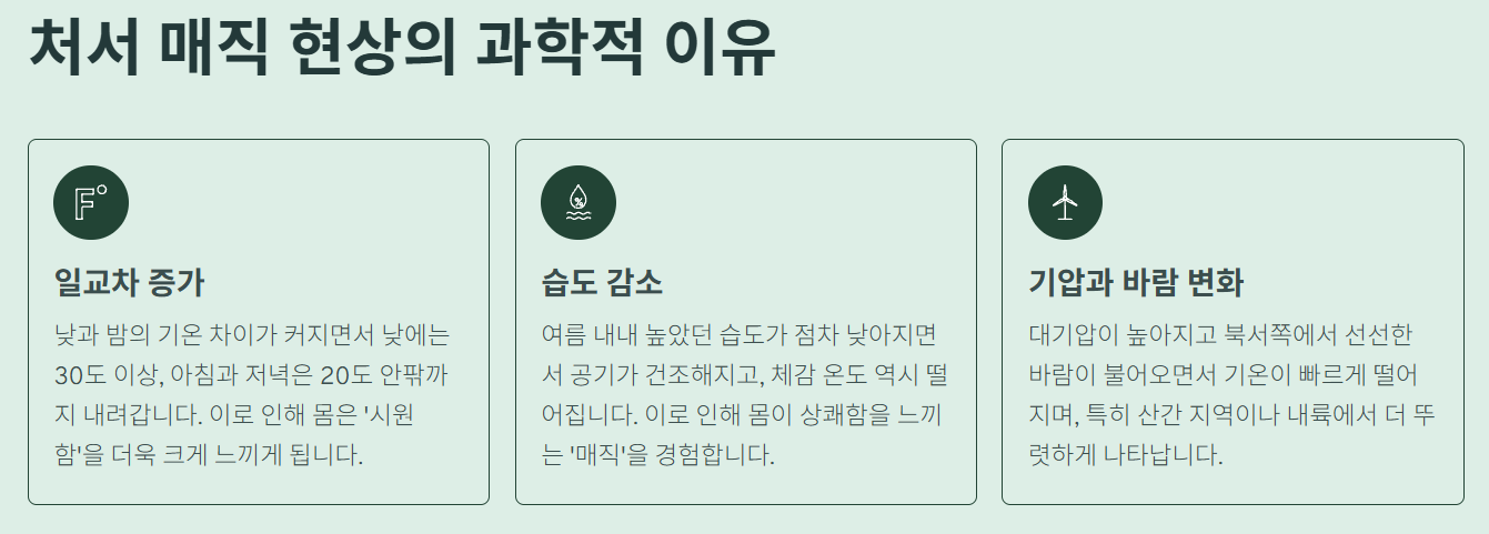처서 매직