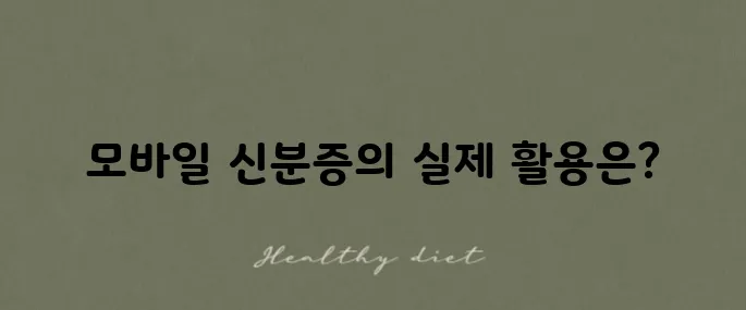 모바일 신분증 발급 방법과 술집에서의 효력 여부를 살펴봅시다.