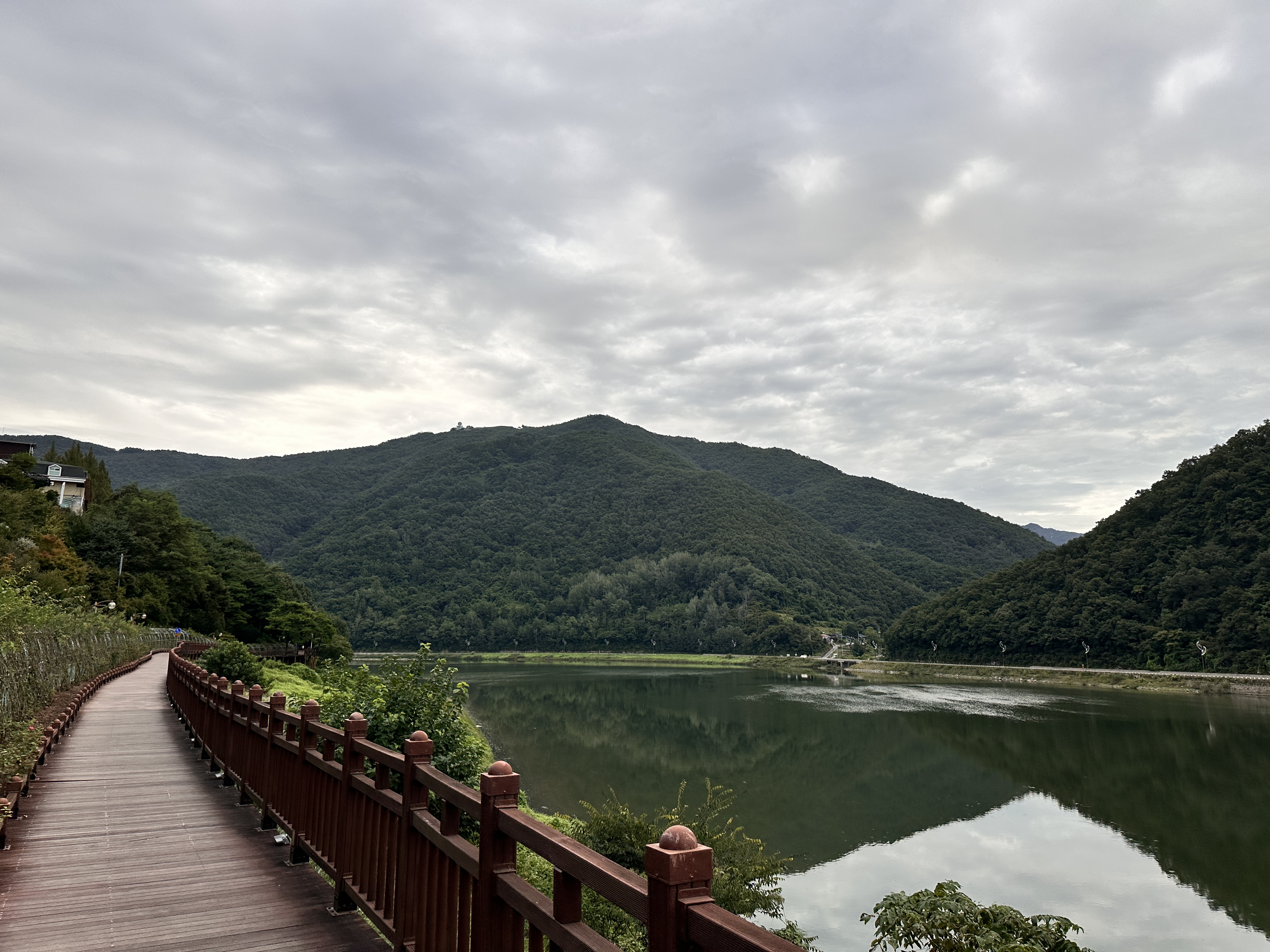 단양 남한강 러닝 코스