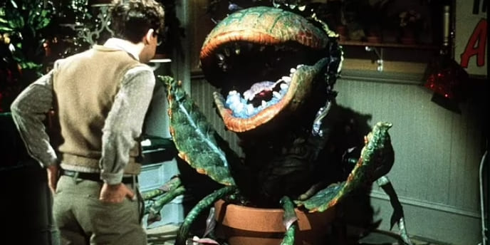 마치 SF영화 같은 '입'으로 신호 보내는 식물 VIDEO: Incredible close-up look at a plant breathing