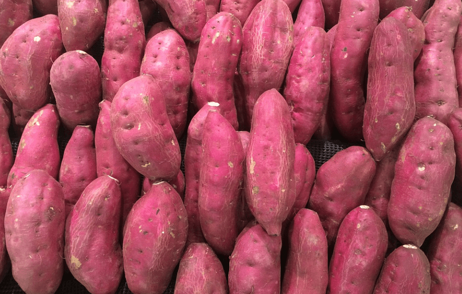 너무나 많은 고구마