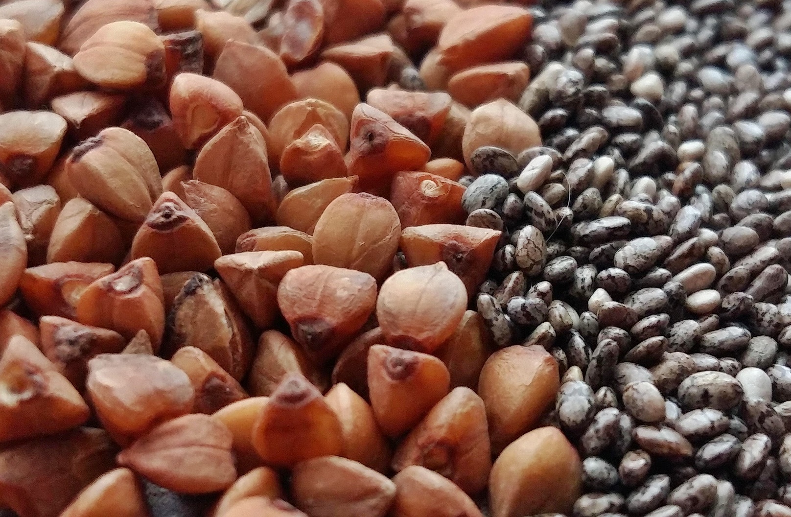 손가락 관절염으로 진행되기 전 반드시 나타나는 변화