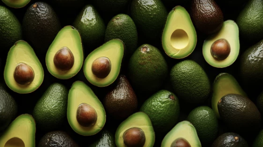 ⑨ 아보카도(Avocado)