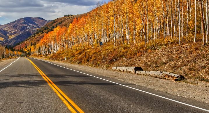 고속도로 버스전용차로 가능차량 운영시간 과태료