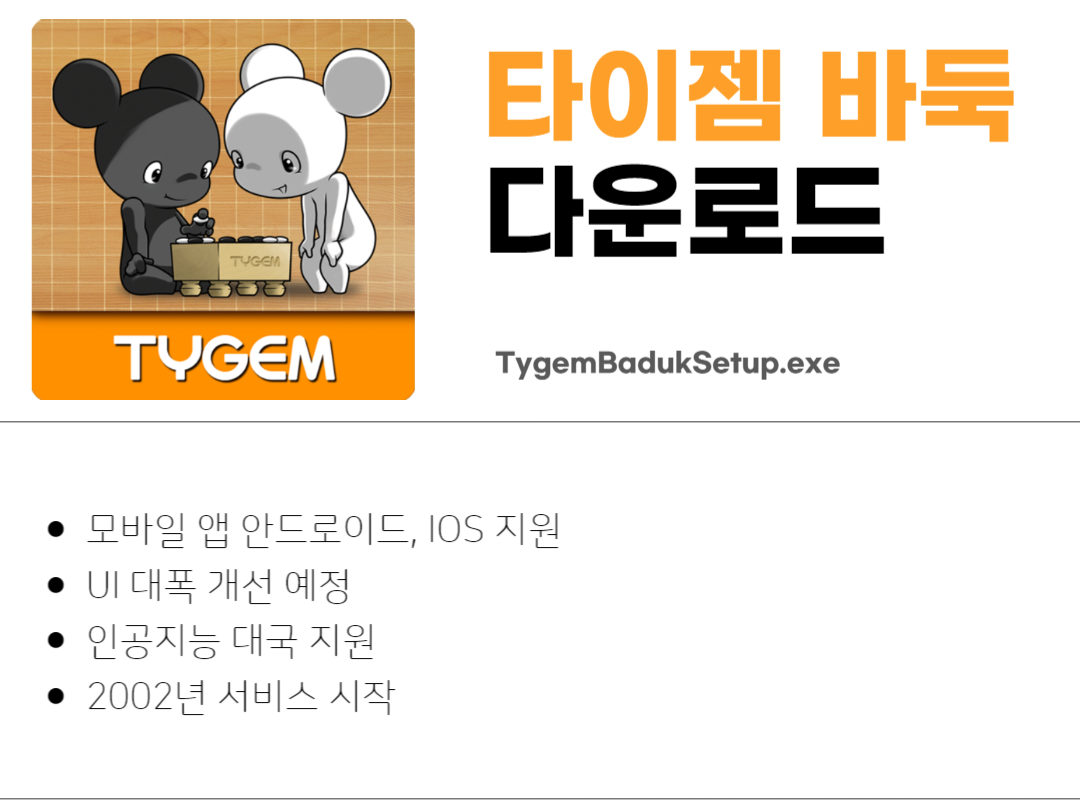 타이젬 바둑 설치 간단한 방법