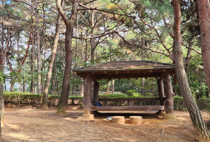 오봉산맨발등산길5