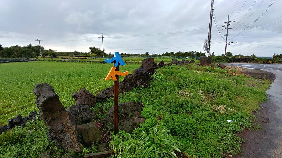 제주 올레길 1코스. 종달리 화살표