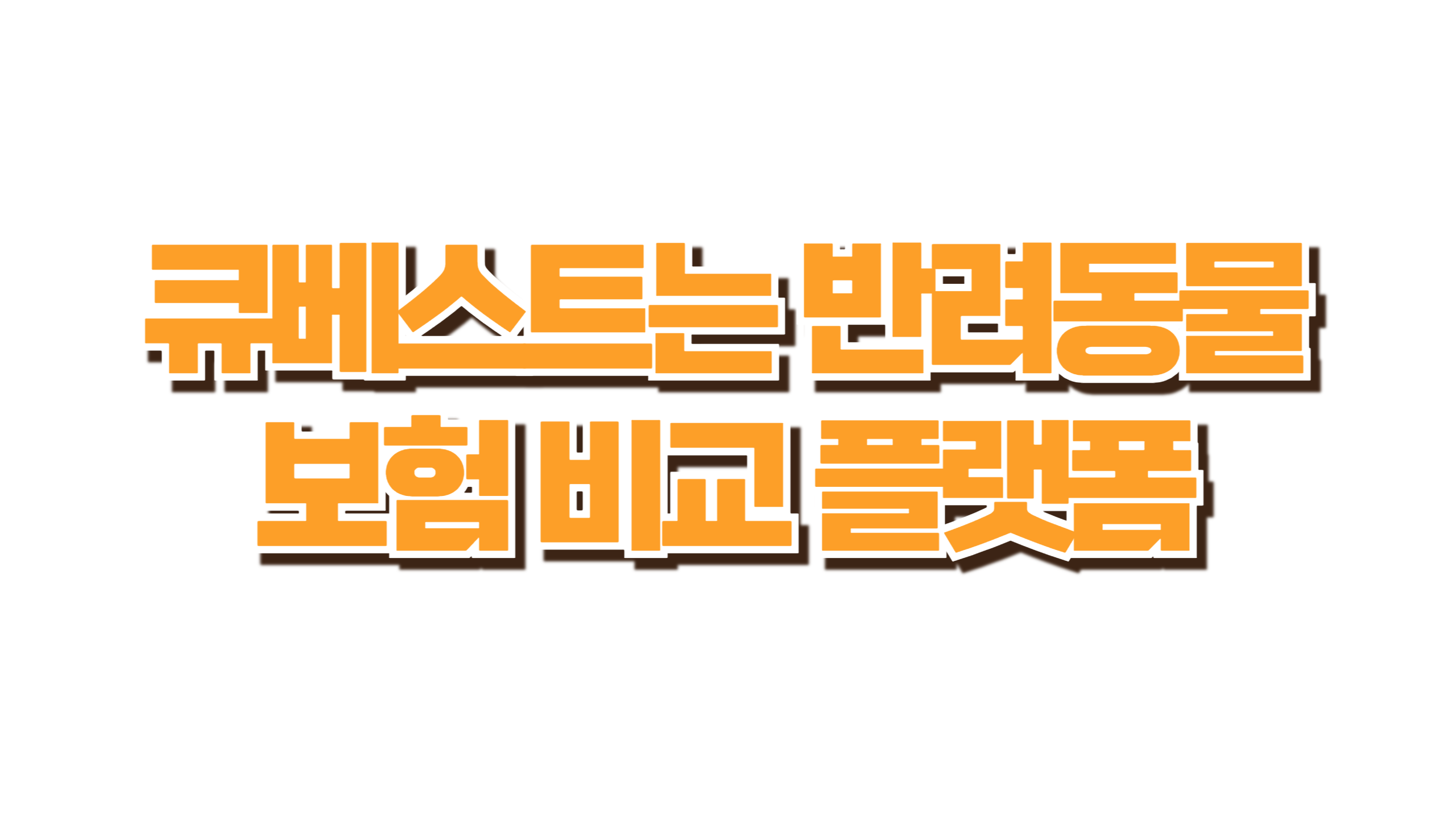 펫보험 큐베스트, 솔직 후기와 활용법 사진