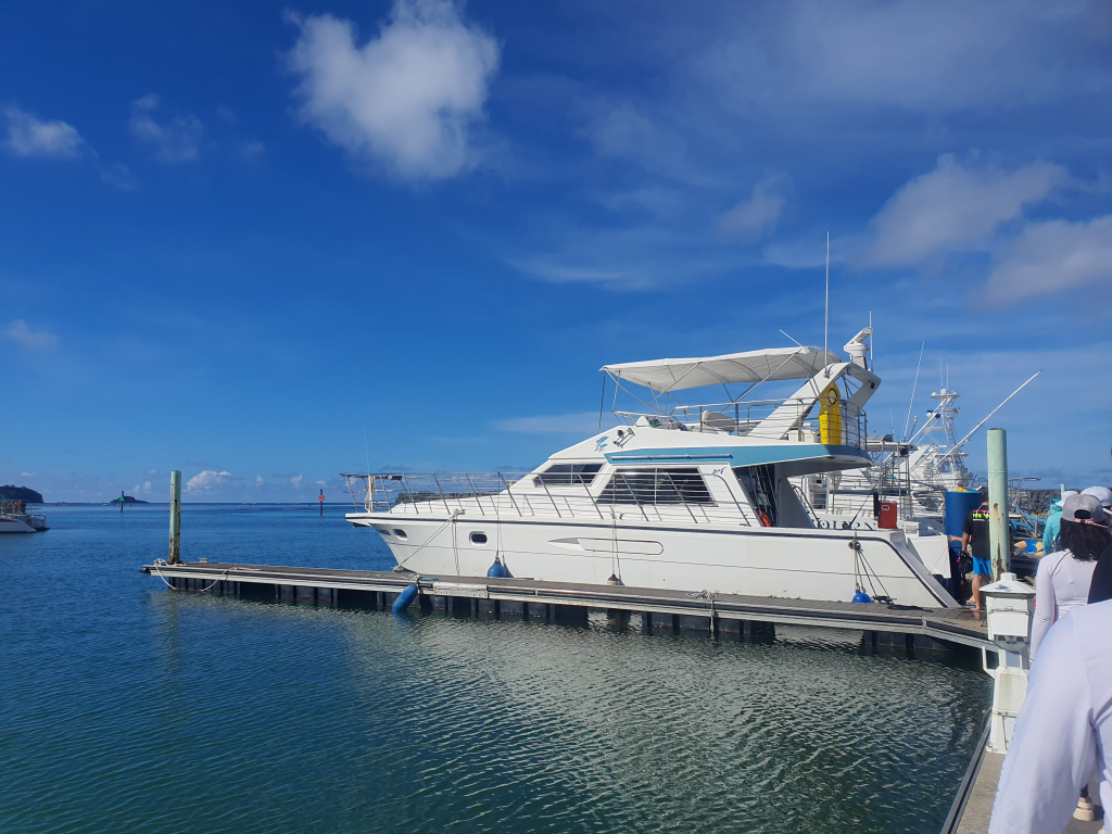 돌핀 크루즈 관련 사진