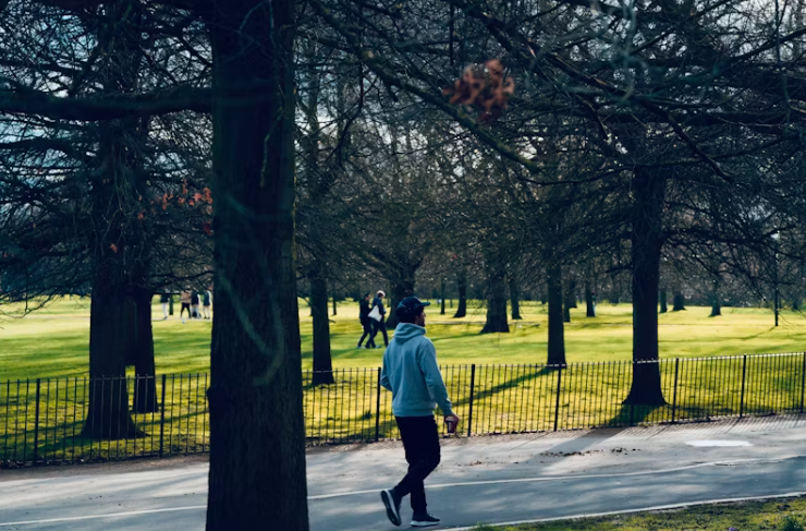 *** 대체 텍스트, 캡션 문구, 태그(가로로, "#"없이, 콤마로 구분), id 블럭 주세요.