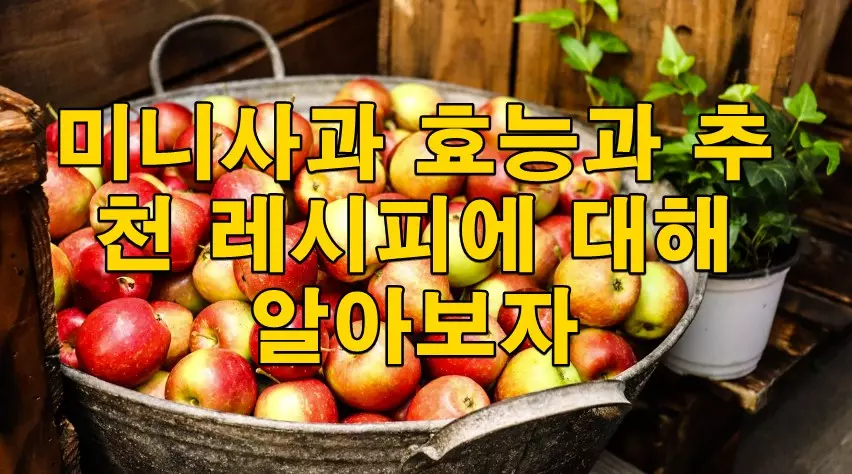 미니사과 효능과 추천 레시피에 대해 알아보자