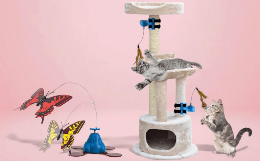 고양이 놀이 도구 이미지