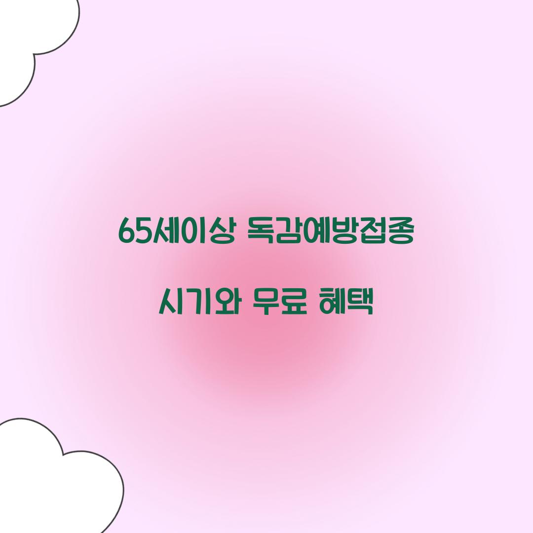 65세이상 독감예방접종