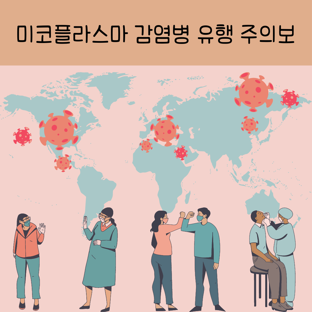 미코플라스마(마이코플라즈마) 감염병 확산 - 증상 치료방법 대처 방법