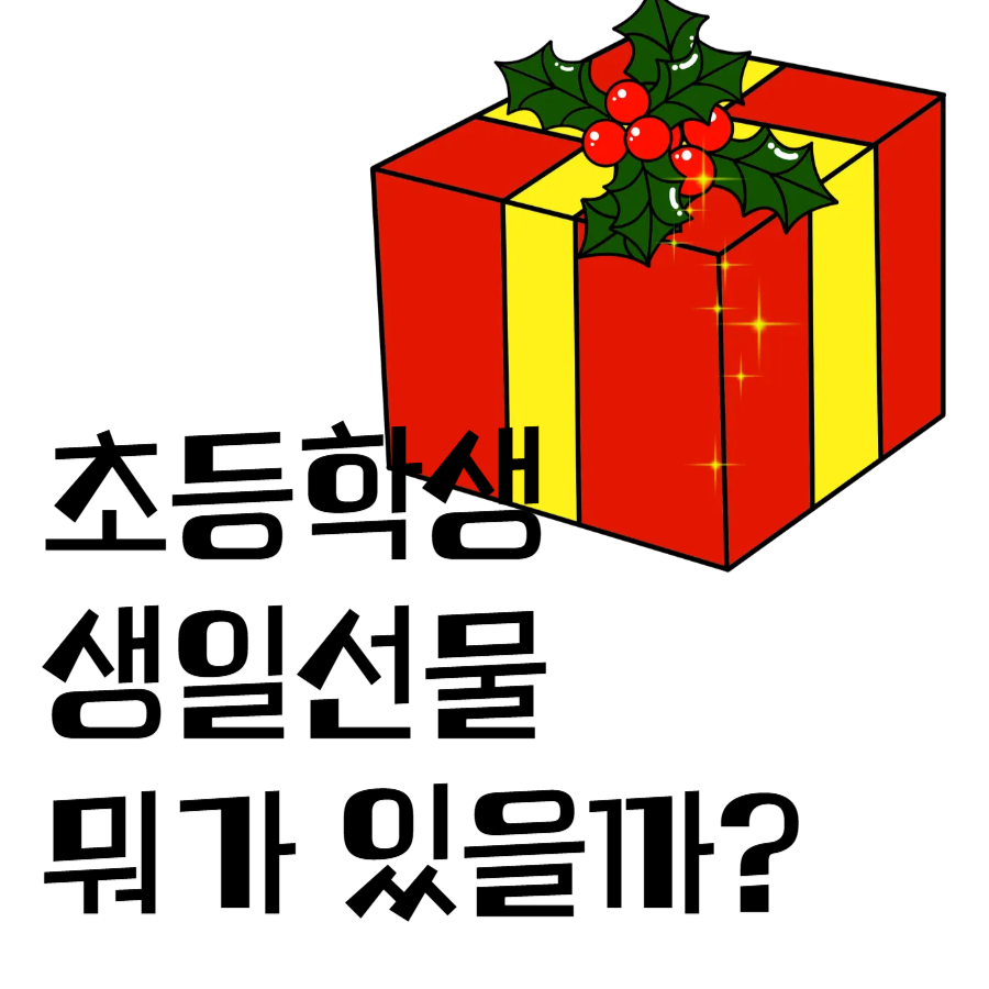 초등학생생일선물