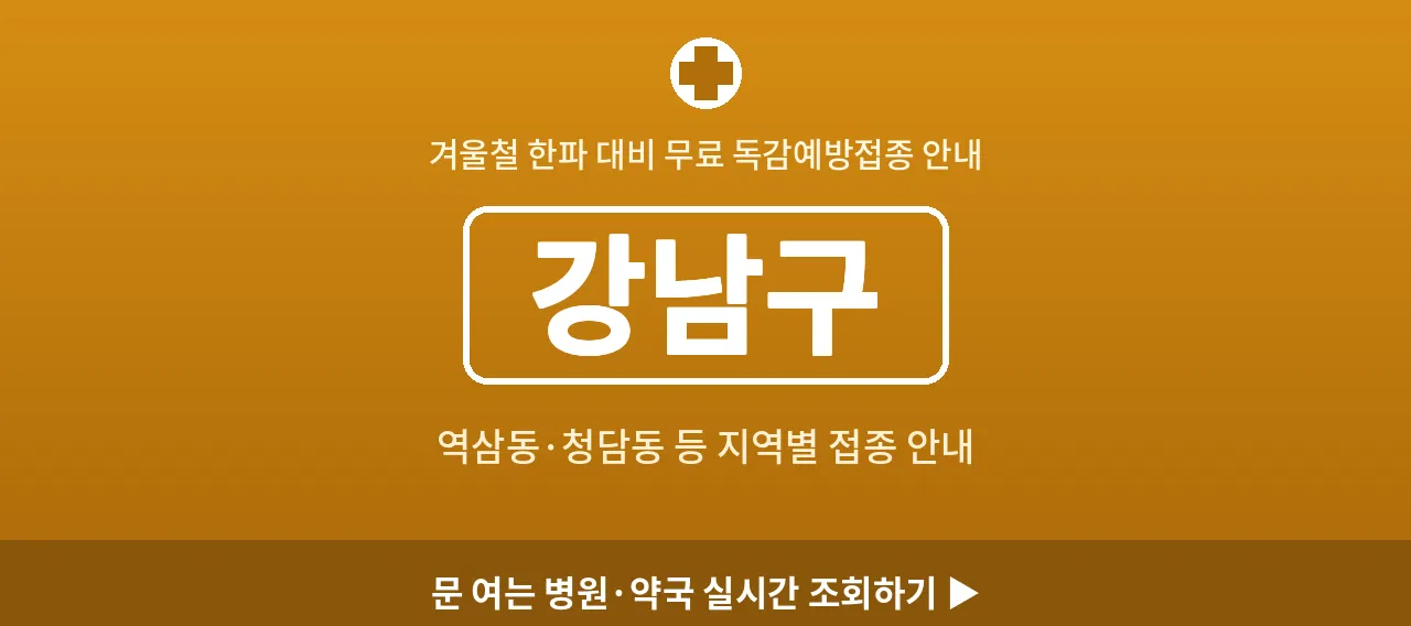 강남구 2026 겨울 무료 독감예방접종 병원 안내 (역삼동&middot;청담동)