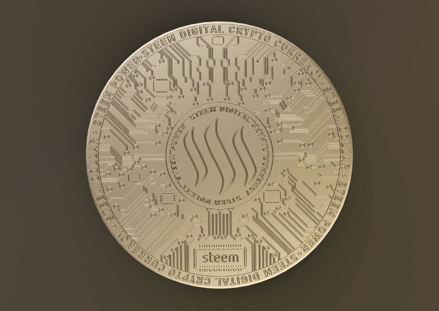 스팀달러 투자의 가치분석, 가격예측, 리스크