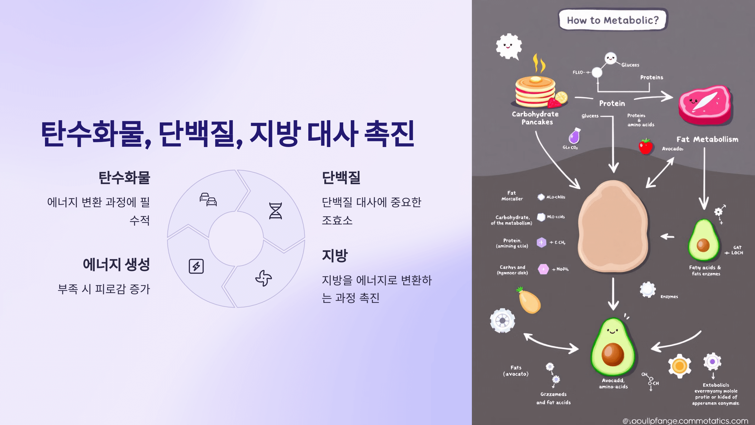비오틴과 관련된 사진입니다.