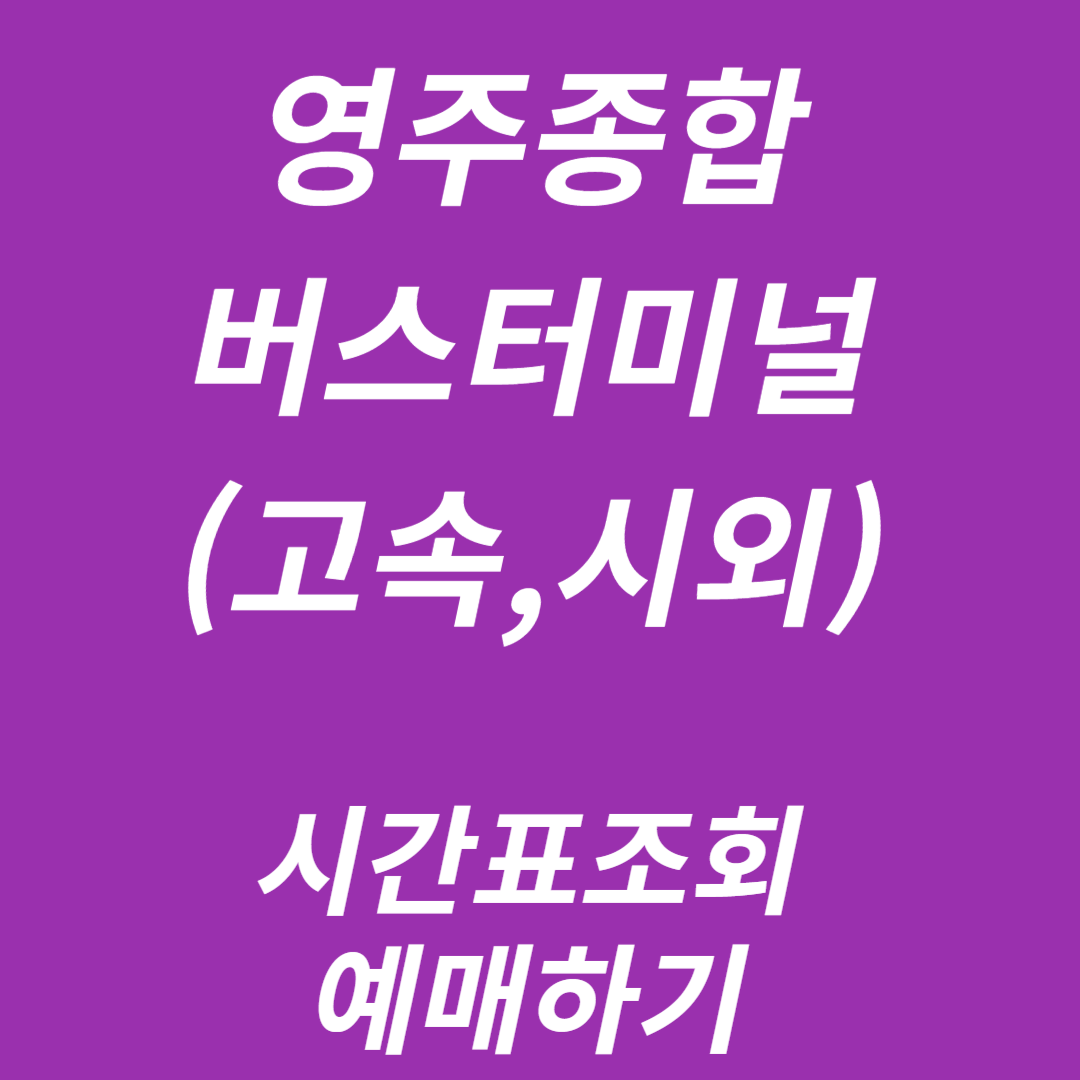 영주종합버스터미널 시간표조회, 예매