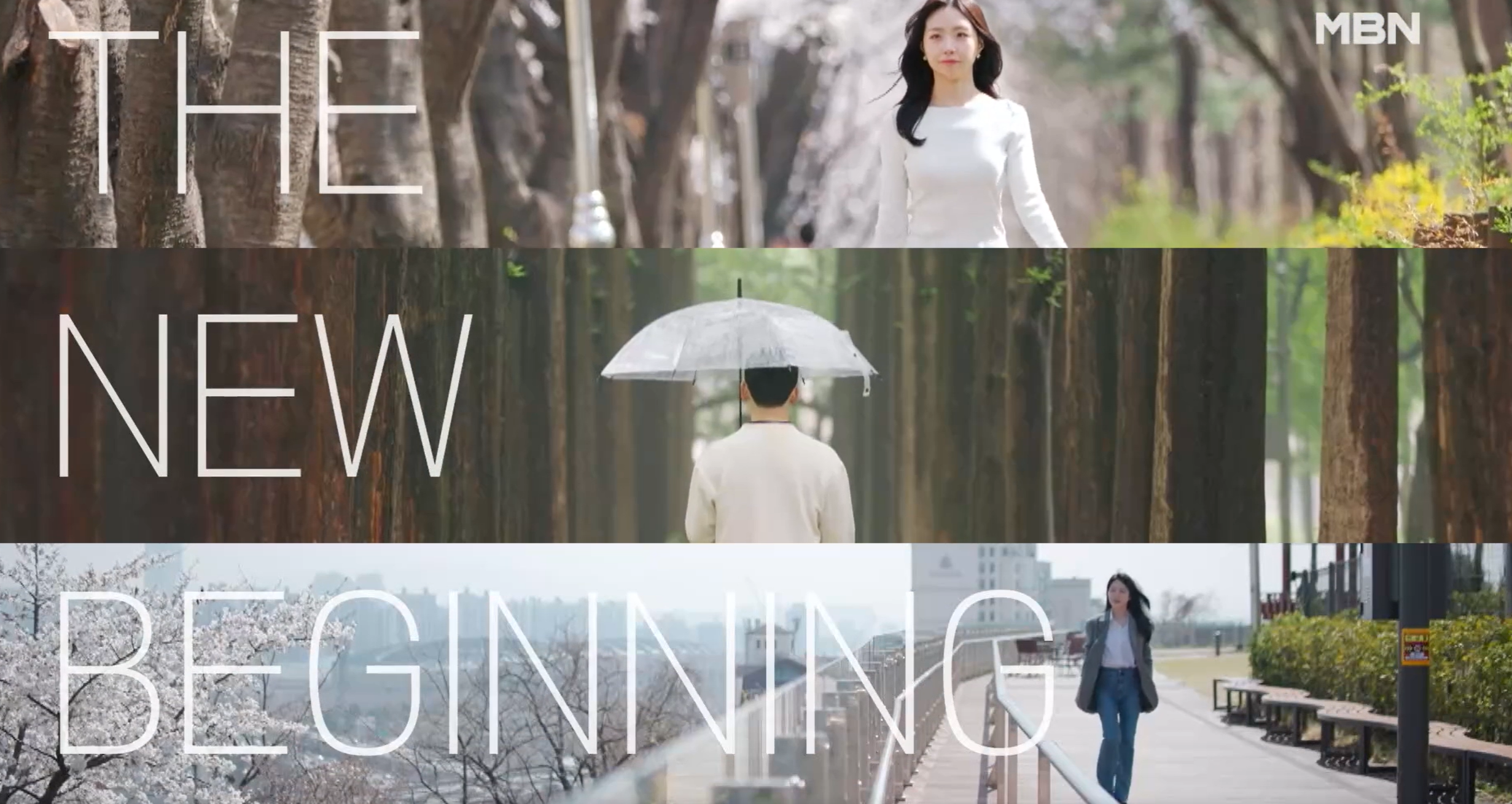 돌싱글즈7 출연진