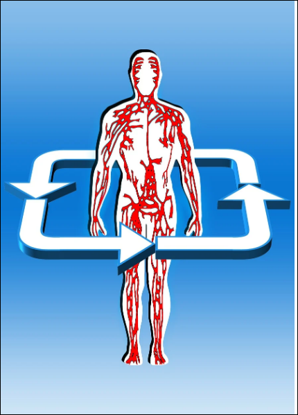 우리는 왜 순환에 주목해야 할까요?