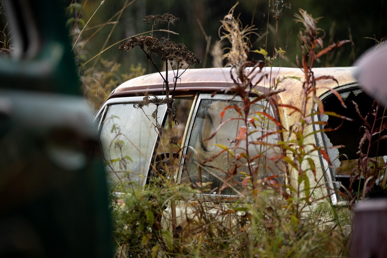 조기폐차지원금-신청-조회