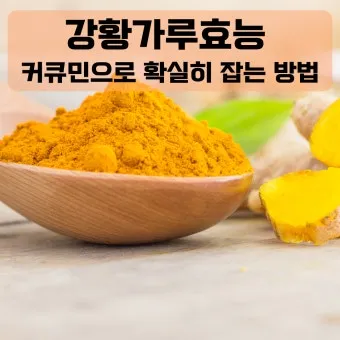 강황가루 효능 건강효과 및 활용방법 정리_8