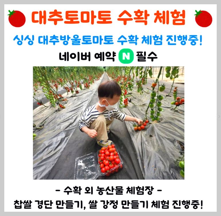 율봄식물원 딸기 수확 체험