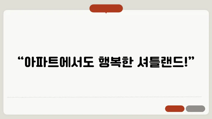 셔틀랜드쉽독 아파트에서 키우기