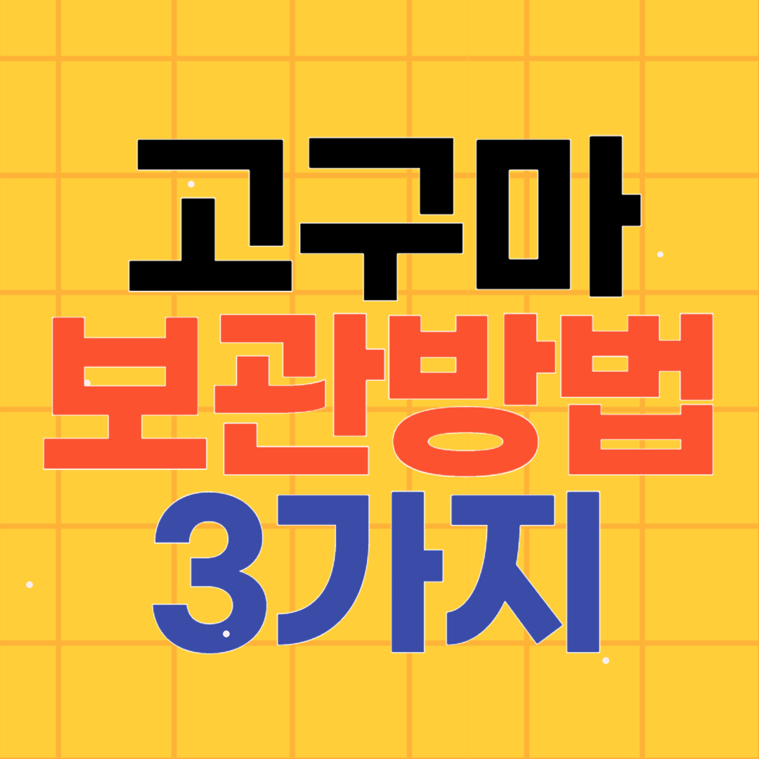 고구마 보관법 3가지