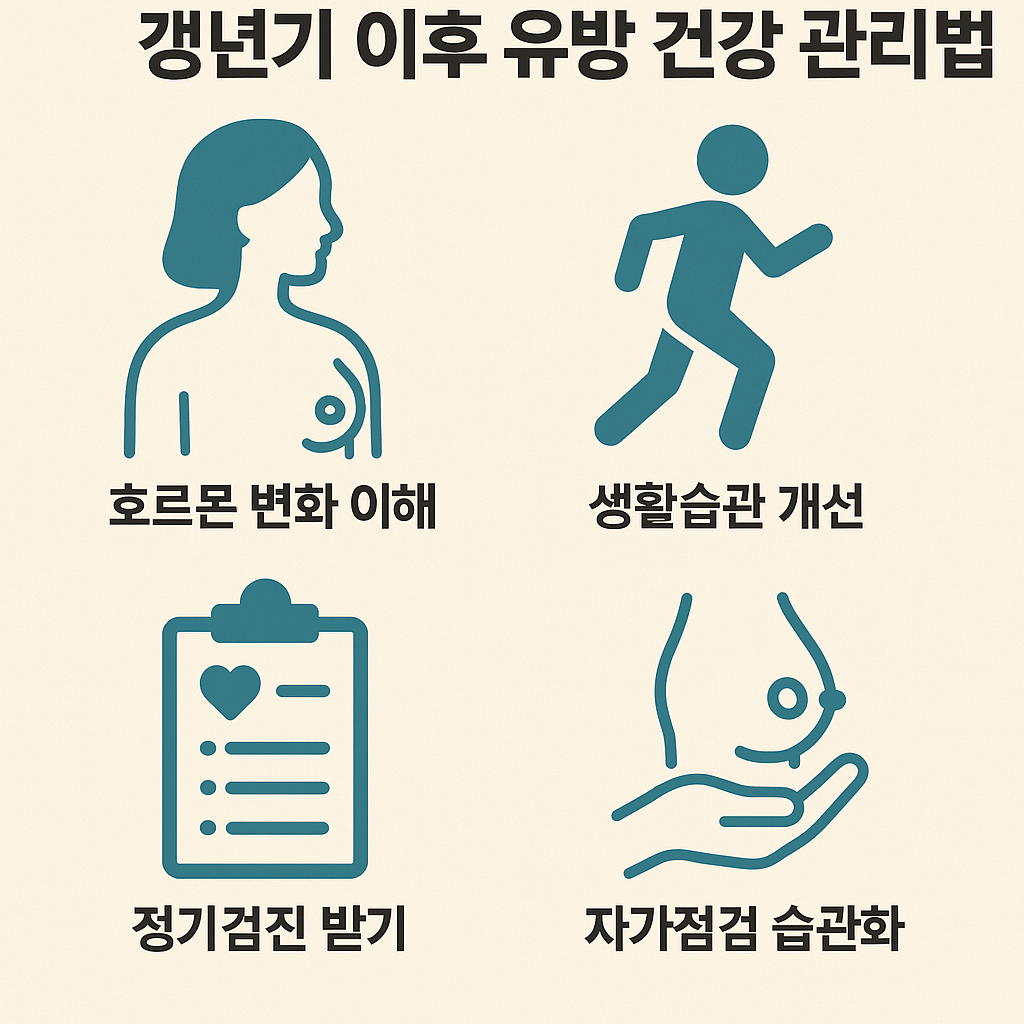 갱년기 이후 유방 건강 관리법: 호르몬 변화에 대응하는 현명한 방법