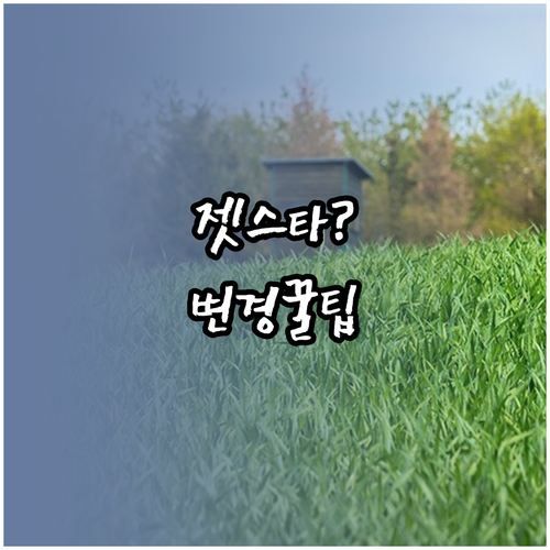 젯스타 예약 관리에서 좌석 변경하는 ..