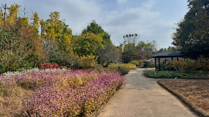 화성_우리꽃식물원_국화전시회