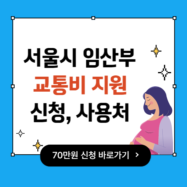 서울시 임산부 교통비 지원 신청&amp;#44; 사용처