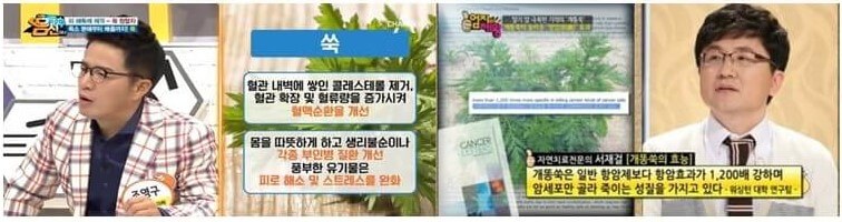 쑥 효능